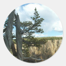 Fotografie van het nationale park Yellowstone