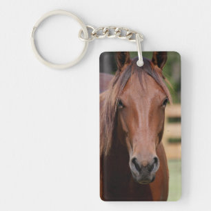 Fotografie van het paard op de sleutelhanger