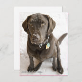 Fotografie van het verklikkerlab met sneeuw briefkaart (Voorkant / Achterkant)