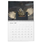 Fotografie van hobbyvogel kalender (Jan 2027)