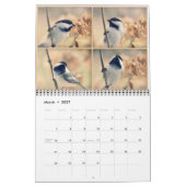 Fotografie van hobbyvogel kalender (Mar 2027)