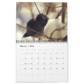 Fotografie van hobbyvogel kalender (Feb 2026)