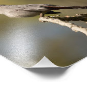 Fotografie van hoteldieren foto afdruk (Hoek)