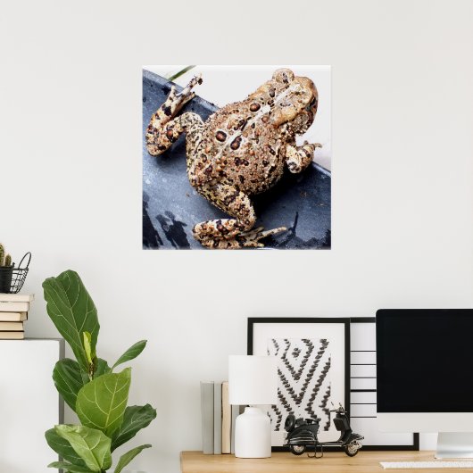 Fotografie van kikkerfort poster (Thuiskantoor)