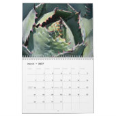 Fotografie van King Fine Art Kalender (Mar 2027)