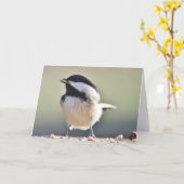 Fotografie van kippen kaart (Gele Bloem)