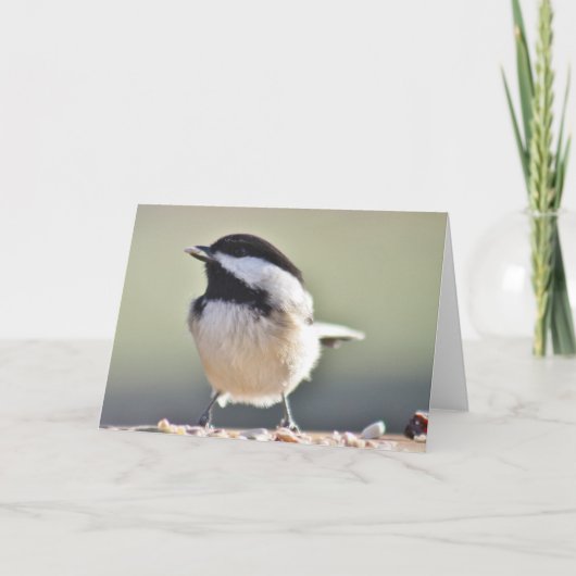 Fotografie van kippen kaart (Voorkant)