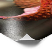 Fotografie van lychee-fruit, fruitmacro foto afdruk (Hoek)