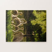 Fotografie van moeder en kind Dierlijke Duck Legpuzzel (Horizontaal)