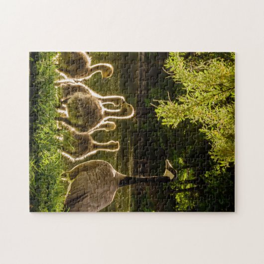 Fotografie van moeder en kind Dierlijke Duck Legpuzzel (Horizontaal)