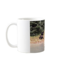 Fotografie van moeder Grizzly, 2 kubussen, rivier,