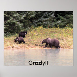 Fotografie van moeder Grizzly en 2 cubs Poster