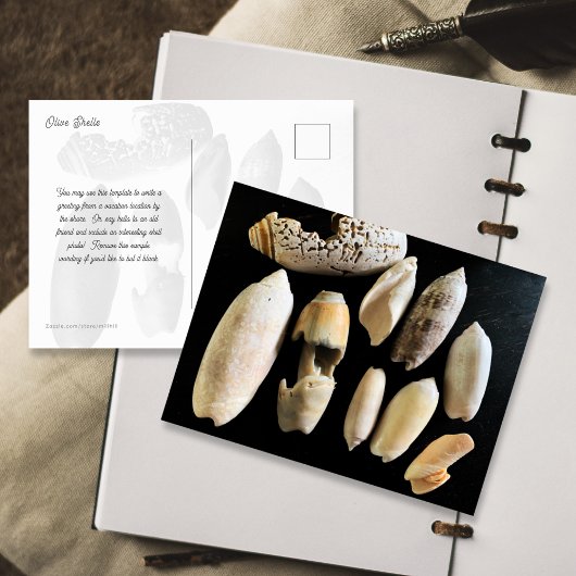 Fotografie van olijfschelpen briefkaart
