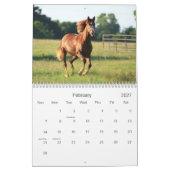 Fotografie van paarden kalender (Feb 2027)