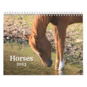Fotografie van paarden kalender (Hoes)