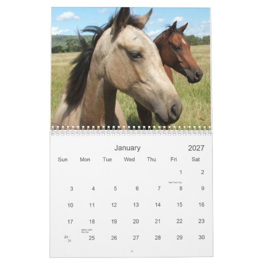 Fotografie van paarden kalender (Jan 2027)