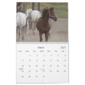 Fotografie van paarden kalender (Mar 2027)
