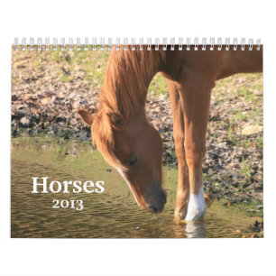 Fotografie van paarden kalender