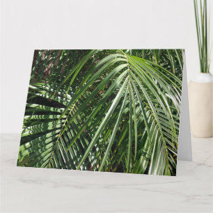 Fotografie van Palm Fronds Fine Art Natuur Kaart