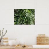 Fotografie van Palm Fronds Fine Art Natuur Poster (Keuken)