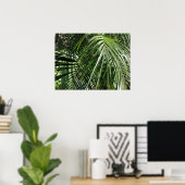 Fotografie van Palm Fronds Fine Art Natuur Poster (Thuiskantoor)