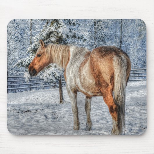 Fotografie van Palomino Paint Horse and Snow Equin Muismat (Voorkant)