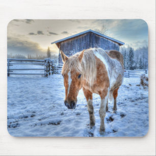 Fotografie van Palomino Paint Horse en Barn Equine Muismat