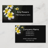 fotografie van Plumeria blooms Visitekaartje (Voorkant / Achterkant)