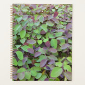 Fotografie van rode en groene bladeren planner (Voorkant)