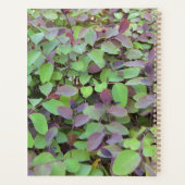 Fotografie van rode en groene bladeren planner (Achterkant)