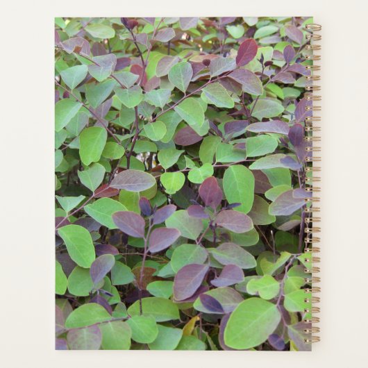 Fotografie van rode en groene bladeren planner (Achterkant)