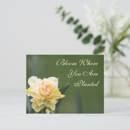 Fotografie van Roos Briefkaart (Staand voorkant)