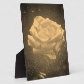  fotografie van roos fotoplaat (Zijkant)