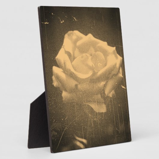  fotografie van roos fotoplaat (Zijkant)