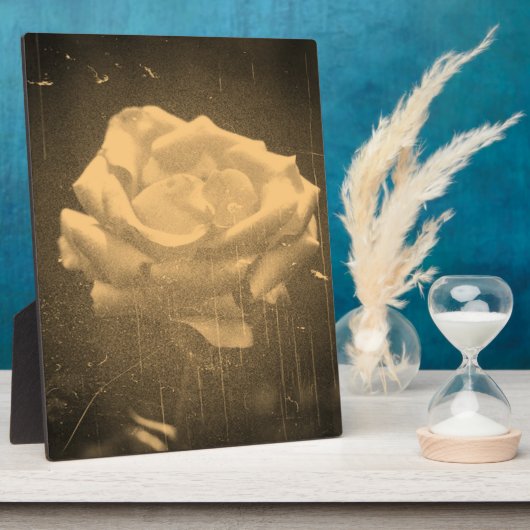  fotografie van roos fotoplaat (Zijkant)