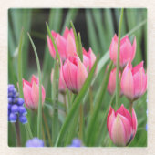 Fotografie van -roze Tulp-bloemen - Glazen Onderzetter (Voorkant)
