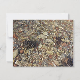 Fotografie van Taylor Creek Natuur