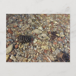 Fotografie van Taylor Creek Natuur Briefkaart