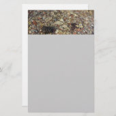 Fotografie van Taylor Creek Natuur Briefpapier (Voorkant / Achterkant)