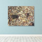 Fotografie van Taylor Creek Natuur Canvas Afdruk (Insitu (Houten vloer))