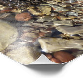 Fotografie van Taylor Creek Natuur Foto Afdruk (Hoek)