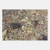 Fotografie van Taylor Creek Natuur Inpakpapier Vel (Voorkant 2)