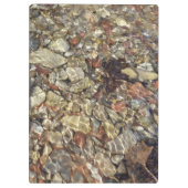 Fotografie van Taylor Creek Natuur Klembord (Achterkant)