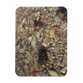 Fotografie van Taylor Creek Natuur Magneet (Verticaal)