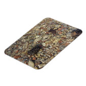 Fotografie van Taylor Creek Natuur Magneet (Linkerzijde)