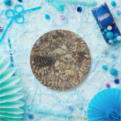 Fotografie van Taylor Creek Natuur Papieren Bordje (Feest)