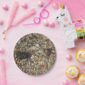 Fotografie van Taylor Creek Natuur Papieren Bordje (Feest)