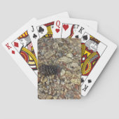 Fotografie van Taylor Creek Natuur Pokerkaarten (Achterkant)