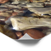 Fotografie van Taylor Creek Natuur Poster (Hoek)