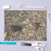 Fotografie van Taylor Creek Natuur Tissuepapier (Craft)